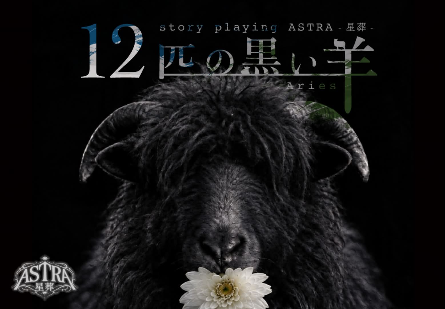12匹の黒い羊-Aries-【ASTRA-星葬-】
